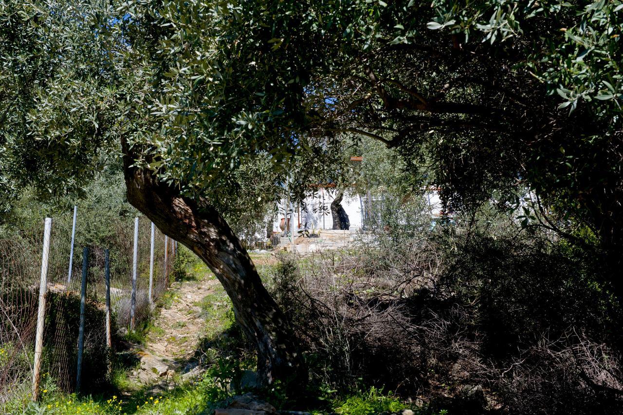 Alikí Studios Ntina מראה חיצוני תמונה
