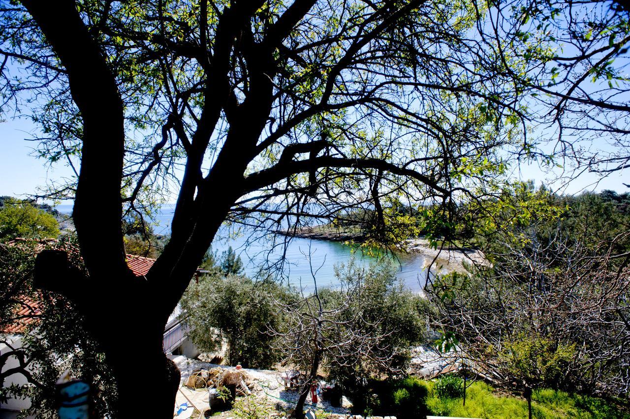 Alikí Studios Ntina מראה חיצוני תמונה